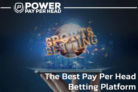 pay per head service|pay per head betting.